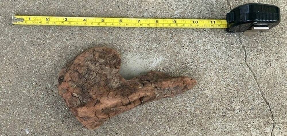 Ohio River Driftwood 7"x4"x2.5"